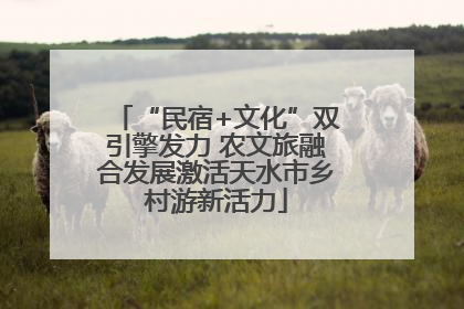“民宿+文化”双引擎发力 农文旅融合发展激活天水市乡村游新活力