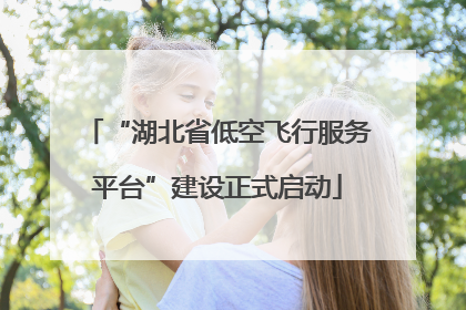 “湖北省低空飞行服务平台”建设正式启动