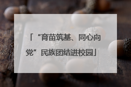 “育苗筑基、同心向党”民族团结进校园