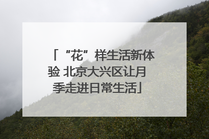 “花”样生活新体验 北京大兴区让月季走进日常生活