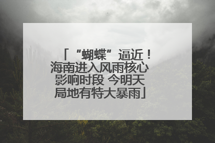 “蝴蝶”逼近！海南进入风雨核心影响时段 今明天局地有特大暴雨