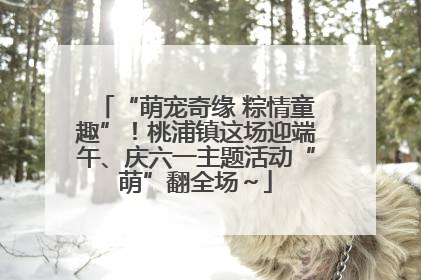 “萌宠奇缘 粽情童趣”！桃浦镇这场迎端午、庆六一主题活动“萌”翻全场～
