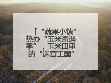 “蔬果小镇”热办“玉米奇遇季”，玉米田里的“迷宫王国”等您来探索