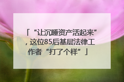 “让沉睡资产活起来”，这位85后基层法律工作者“打了个样”