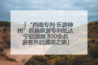 “西南专列·乐游神州”首趟旅游专列抵达宁夏固原 800余名游客开启清凉之旅