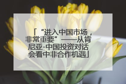 “进入中国市场，非常重要”——从肯尼亚-中国投资对话会看中非合作机遇