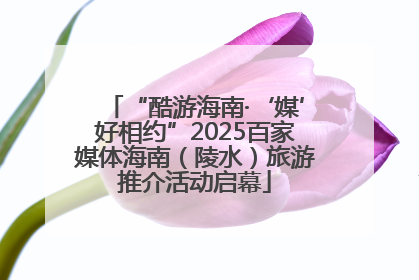 “酷游海南·‘媒’好相约”2025百家媒体海南（陵水）旅游推介活动启幕
