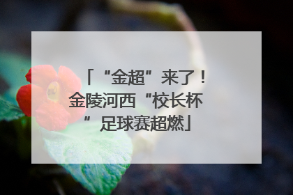 “金超”来了！金陵河西“校长杯”足球赛超燃
