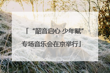 “韶音启心 少年赋”专场音乐会在京举行
