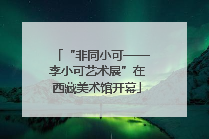 “非同小可——李小可艺术展”在西藏美术馆开幕