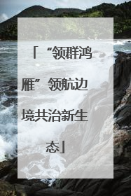“领群鸿雁”领航边境共治新生态