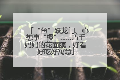 “鱼”跃龙门、心想事“橙”……巧手妈妈的花面膜，好看好吃好寓意