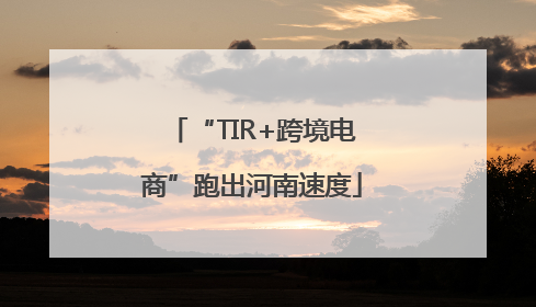 “TIR+跨境电商”跑出河南速度