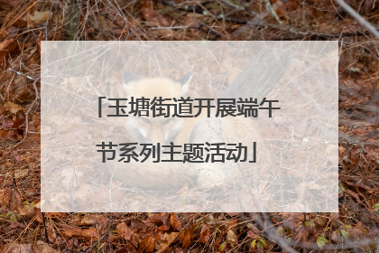 玉塘街道开展端午节系列主题活动