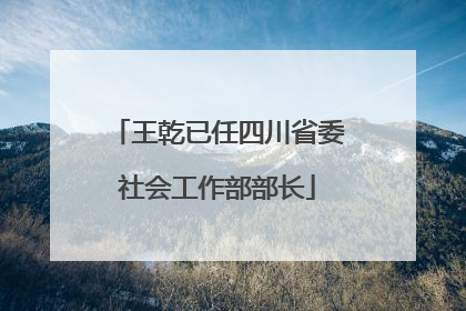 王乾已任四川省委社会工作部部长