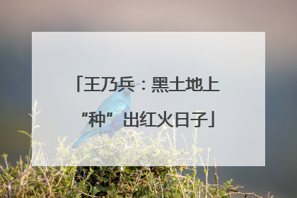 王乃兵：黑土地上“种”出红火日子