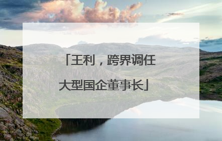王利，跨界调任大型国企董事长