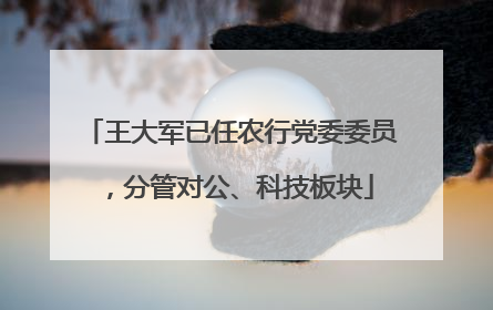 王大军已任农行党委委员，分管对公、科技板块