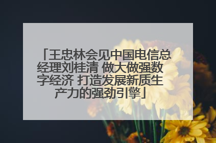 王忠林会见中国电信总经理刘桂清 做大做强数字经济 打造发展新质生产力的强劲引擎