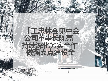 王忠林会见中金公司董事长陈亮 持续深化务实合作 做强支点建设金融支撑