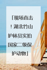 现场直击！湖北竹山护林员实拍国家二级保护动物