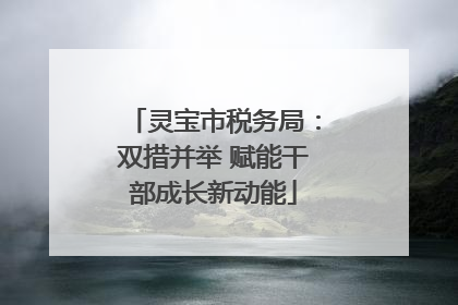 灵宝市税务局：双措并举 赋能干部成长新动能