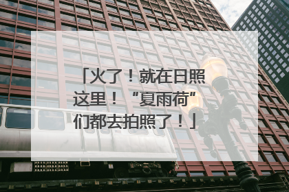 火了！就在日照这里！“夏雨荷”们都去拍照了！