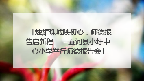 烛耀珠城映初心，师德报告启新程——五河县小圩中心小学举行师德报告会