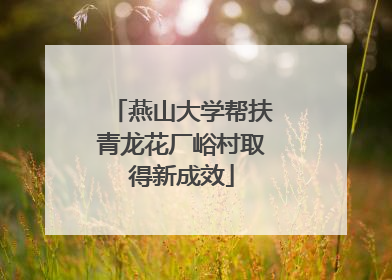 燕山大学帮扶青龙花厂峪村取得新成效