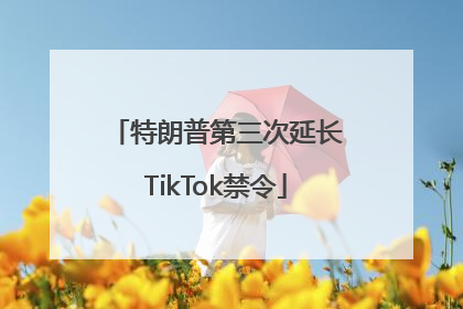 特朗普第三次延长TikTok禁令