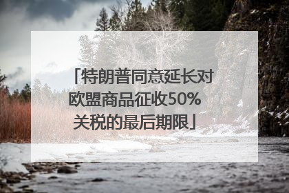 特朗普同意延长对欧盟商品征收50%关税的最后期限