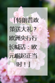 特朗普政策送大礼？欧洲央行行长喊话：欧元崛起正当时！
