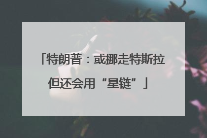 特朗普：或挪走特斯拉 但还会用“星链”