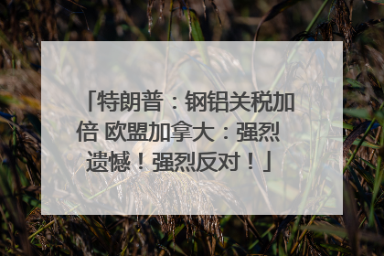 特朗普：钢铝关税加倍 欧盟加拿大：强烈遗憾！强烈反对！