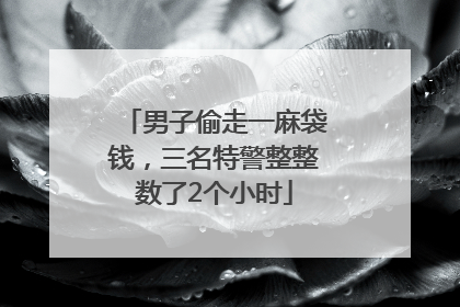 男子偷走一麻袋钱，三名特警整整数了2个小时