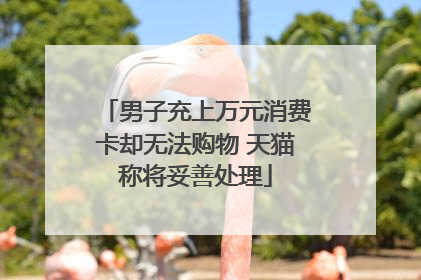 男子充上万元消费卡却无法购物 天猫称将妥善处理