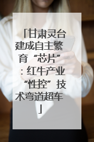 甘肃灵台建成自主繁育“芯片”：红牛产业“性控”技术弯道超车