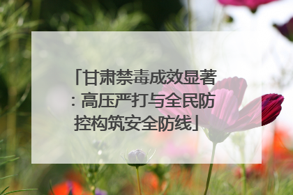 甘肃禁毒成效显著：高压严打与全民防控构筑安全防线