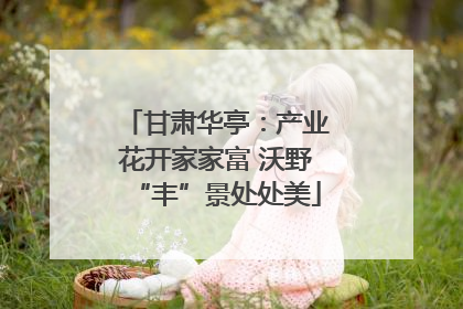 甘肃华亭：产业花开家家富 沃野“丰”景处处美
