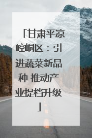 甘肃平凉崆峒区：引进蔬菜新品种 推动产业提档升级