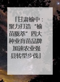 甘肃榆中：聚力打造“榆苗陇萃”四大种业育苗品牌 加速农业强县转型步伐