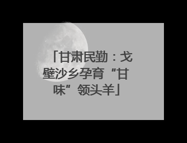 甘肃民勤：戈壁沙乡孕育“甘味”领头羊