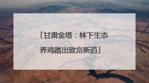 甘肃金塔：林下生态养鸡踏出致富新道