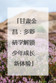 甘肃金昌：多彩研学解锁少年成长新体验