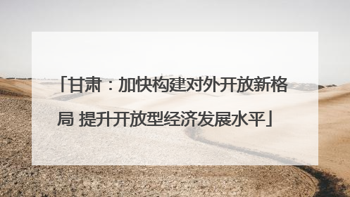 甘肃：加快构建对外开放新格局 提升开放型经济发展水平