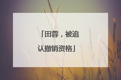 田蓉，被追认撤销资格