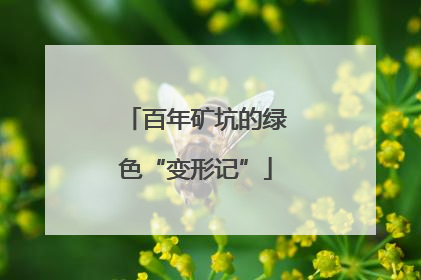 百年矿坑的绿色“变形记”