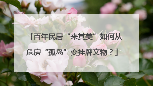 百年民居“来其美”如何从危房“孤岛”变挂牌文物？