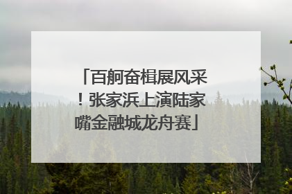 百舸奋楫展风采！张家浜上演陆家嘴金融城龙舟赛
