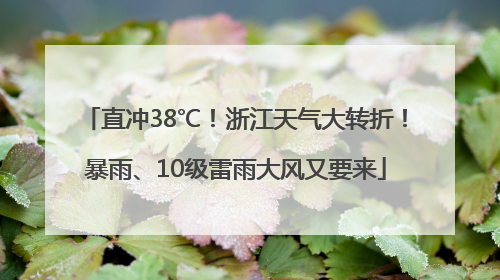 直冲38℃！浙江天气大转折！暴雨、10级雷雨大风又要来